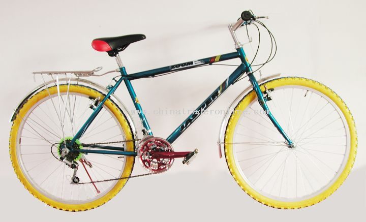 MOUNTAIN BIKE